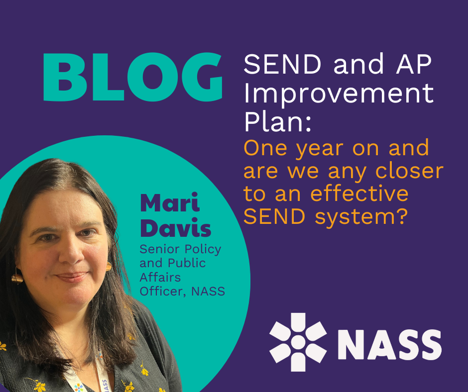 Mari's Blog on the anniversary of the SEND and AP Improvement Plan.